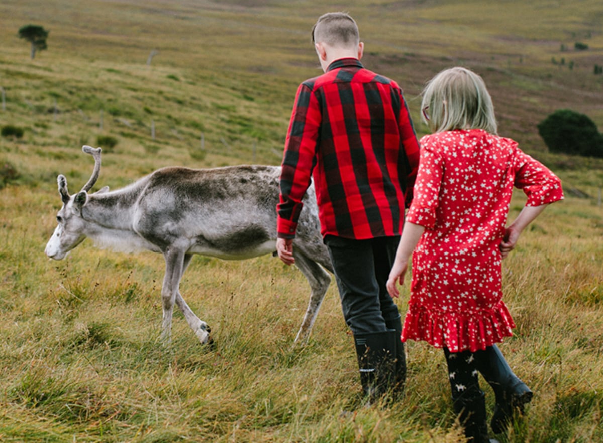 A Festive Story: Stella McCartney Kids Festive Outdoor Adventures